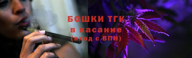 винт Вяземский