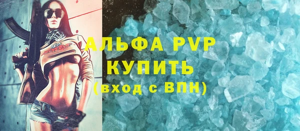 винт Вяземский