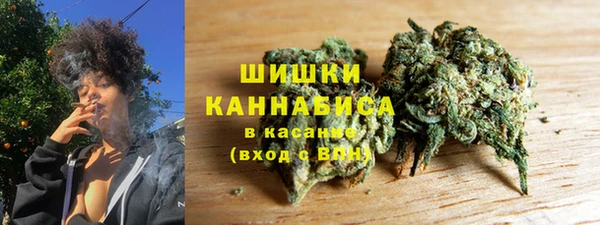 дживик Вязьма