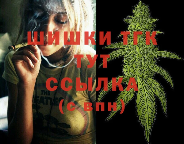 дживик Вязьма