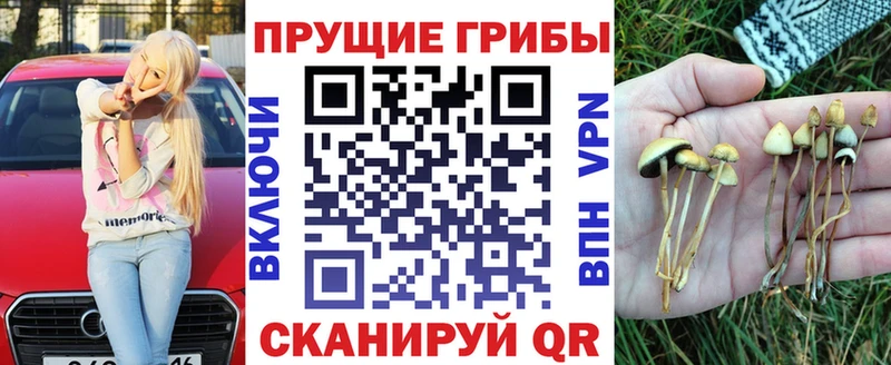 Галлюциногенные грибы ЛСД Ефремов