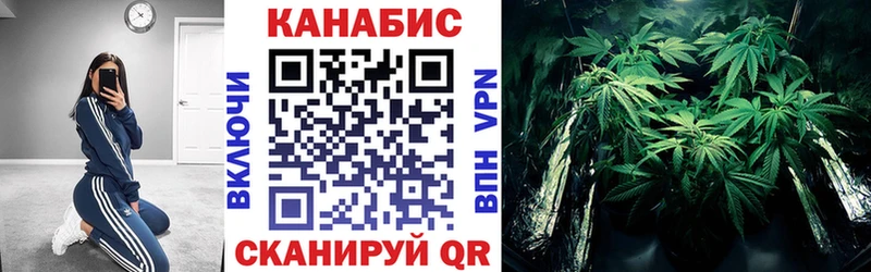 Бошки марихуана THC 21%  продажа наркотиков  Ефремов 